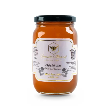 Miel de chardon marie عسل الشوكيات