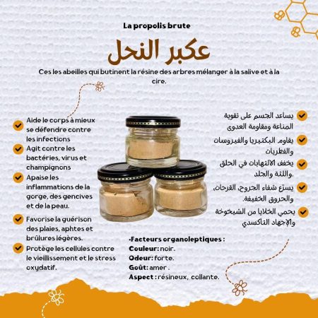La propolis عكبر النحل